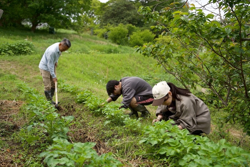 棚田と里山の農作業体験