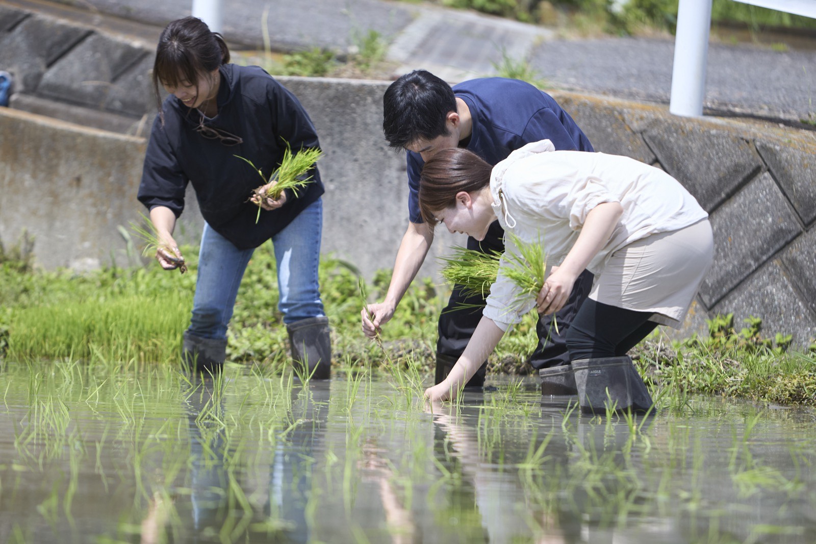 わたや 田植え体験